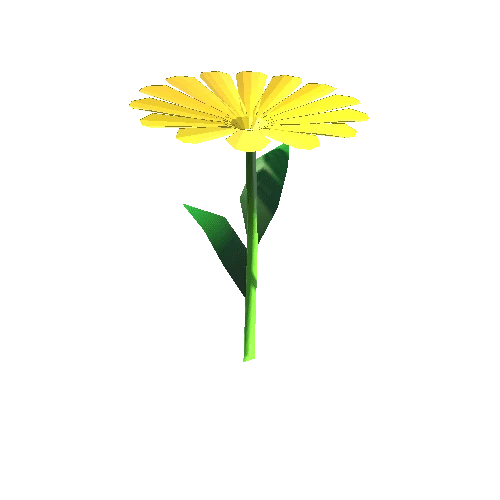 J. Yellow one flower 05